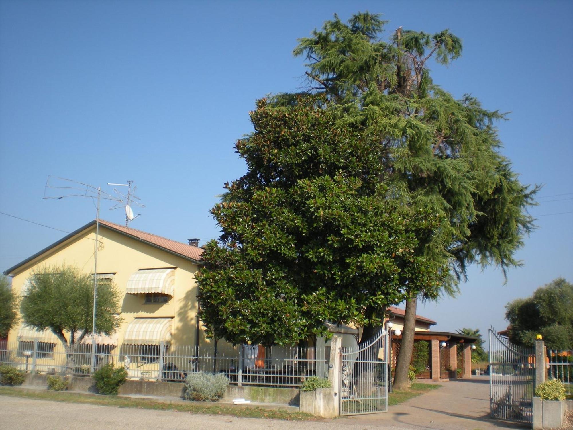 Veronella Camere Solidea المظهر الخارجي الصورة